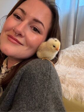 Meet your Posher, Sydney